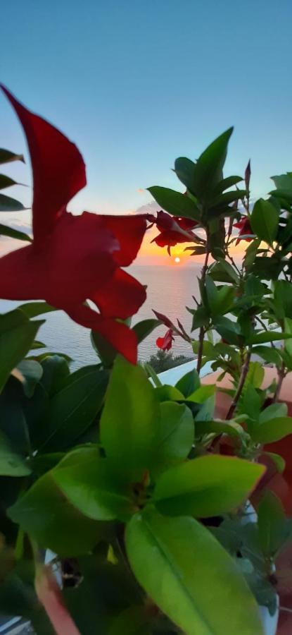 Appartamento Bella Vista House-Sorrento coast - free parking Vico Equense Esterno foto